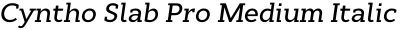 Cyntho Slab Pro Medium Italic